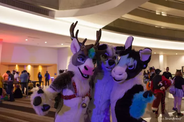 IMG_2189-lr19t.jpg of FWA/FWA2019/