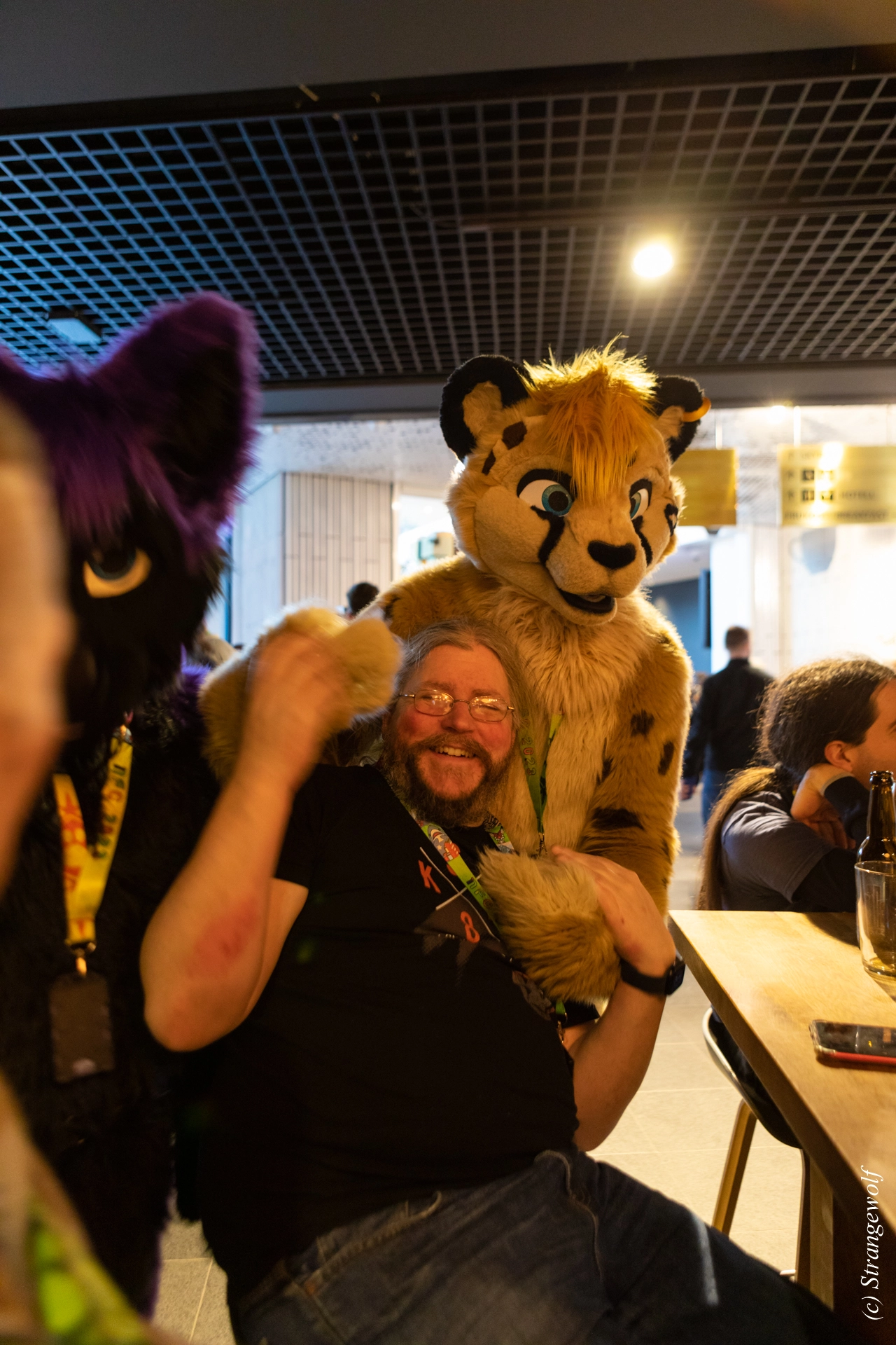 full image 1R3A9055-lr19t.jpg