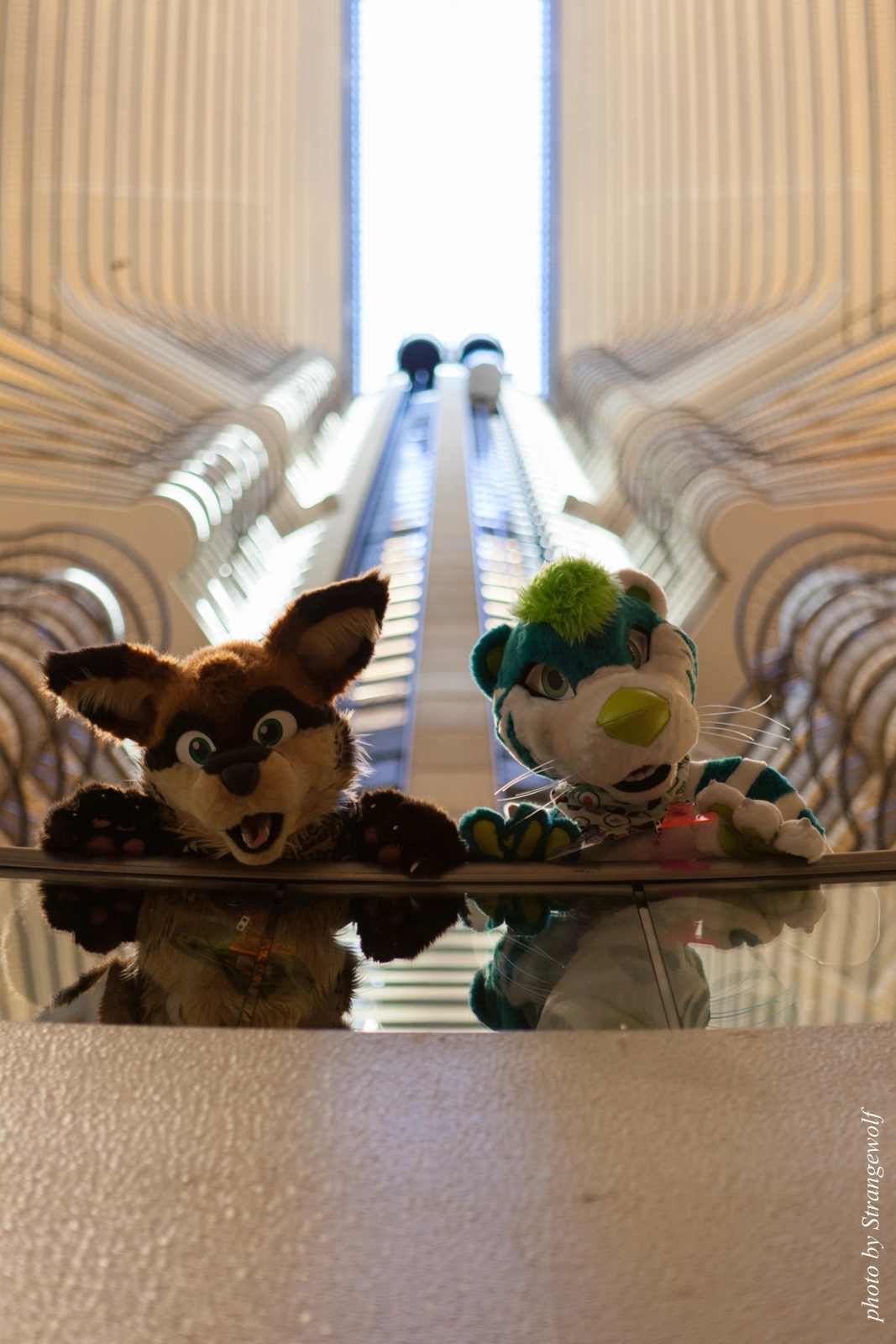 full image IMG_2923-lr16t.jpg