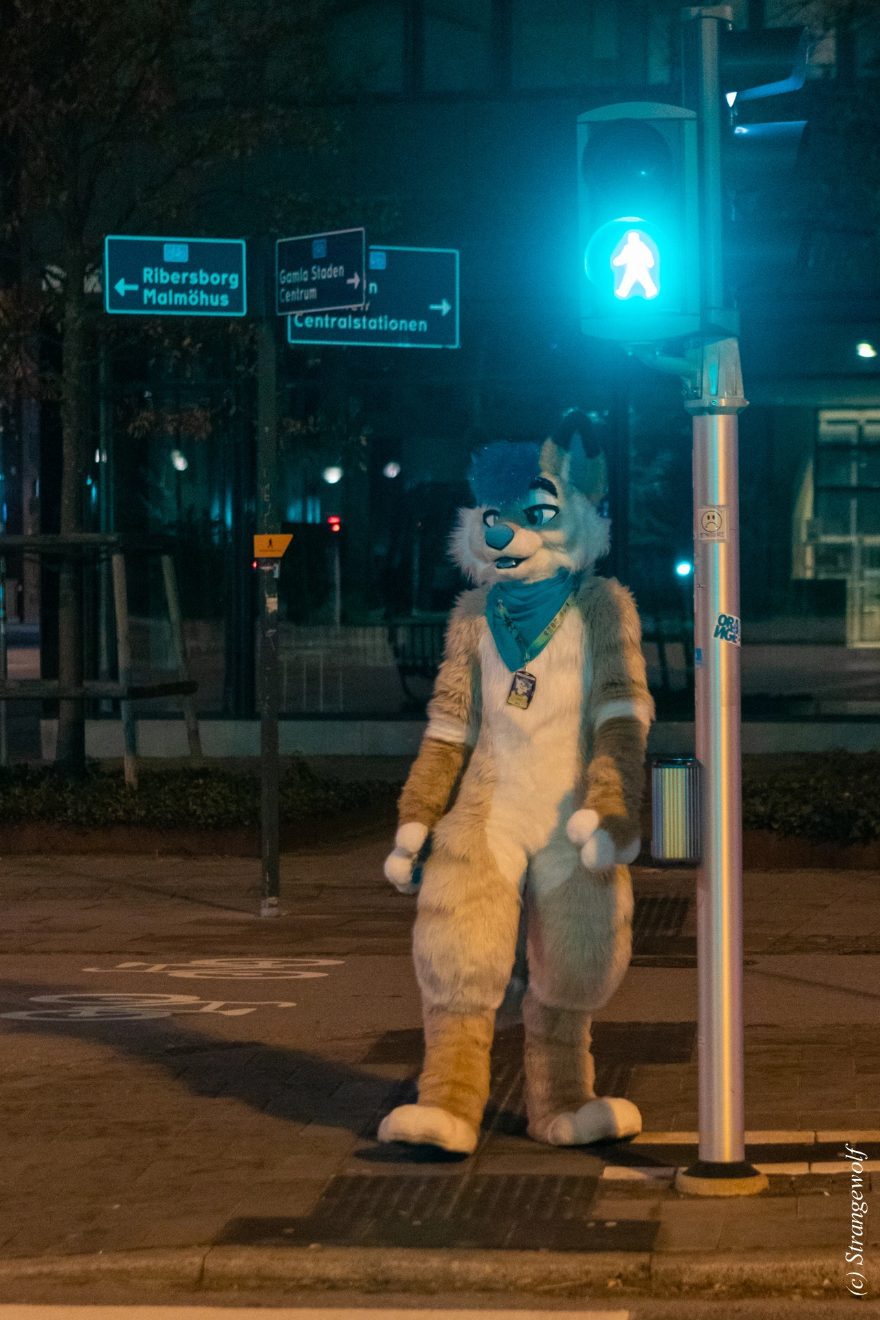 full image 1R3A9260-lr19t.jpg