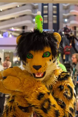 IMG_1689-lr.jpg of FWA/FWA2019/