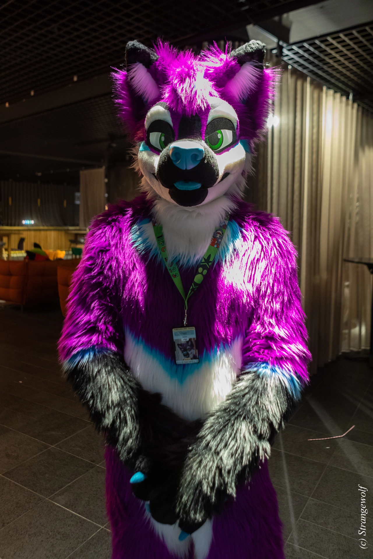 full image 1R3A0152-lr19t.jpg