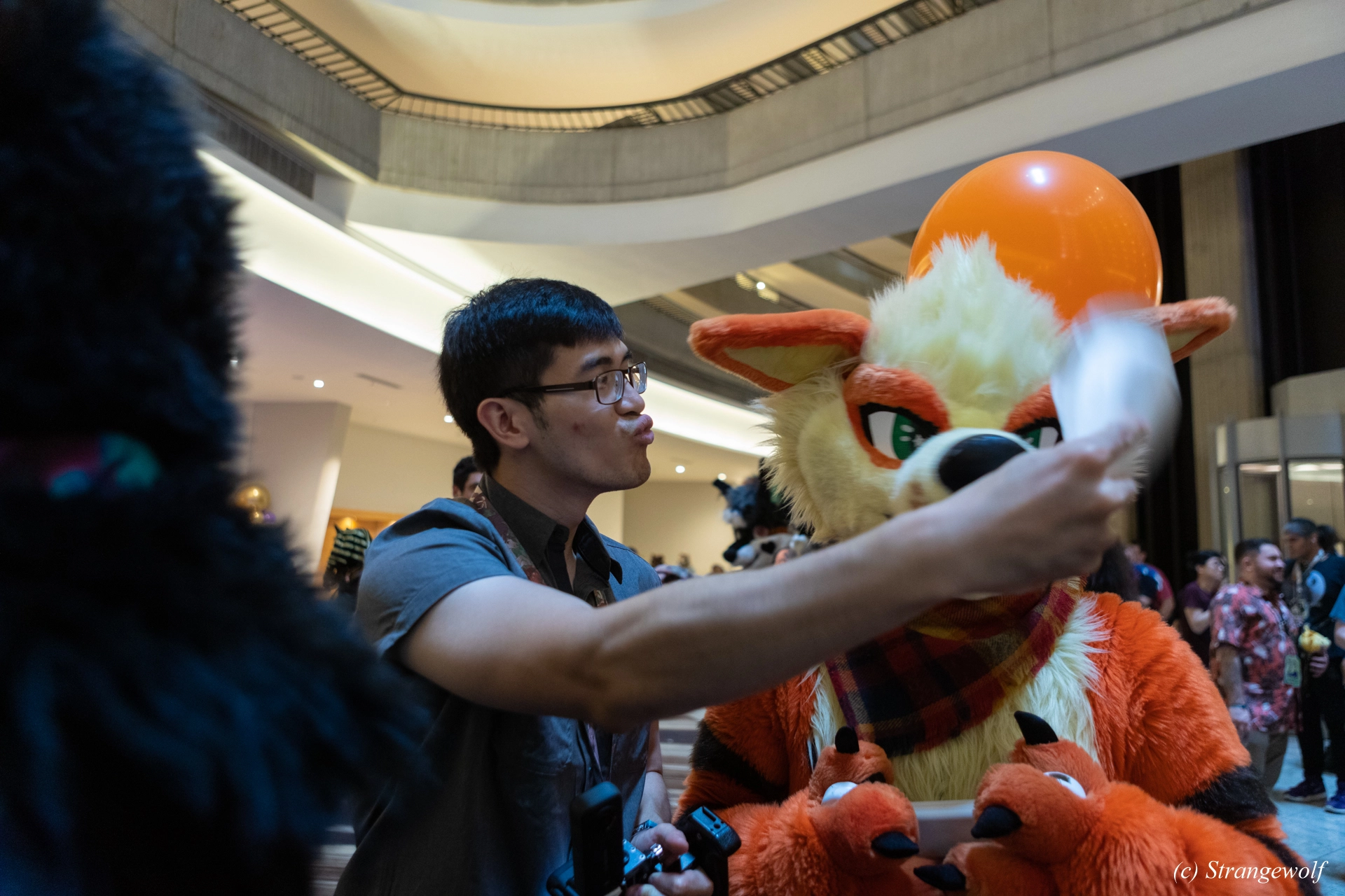 full image 1R3A4087-lr19t.jpg