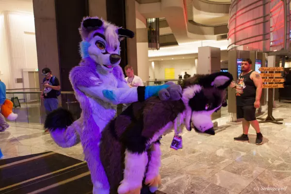 IMG_2230-lr19t.jpg of FWA/FWA2019/