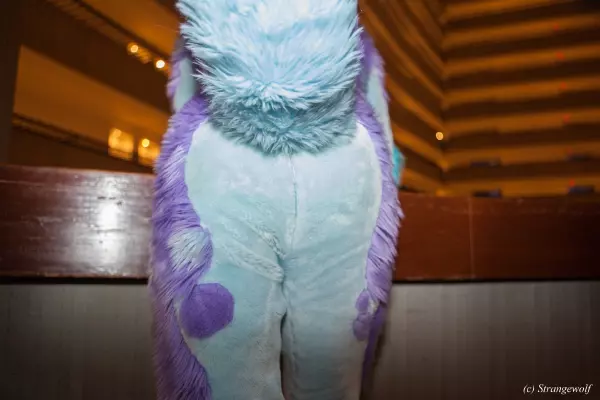 IMG_2092-lr19t.jpg of FWA/FWA2019/