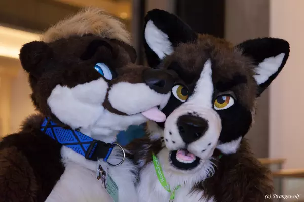 IMG_1593-lr.jpg of FWA/FWA2019/