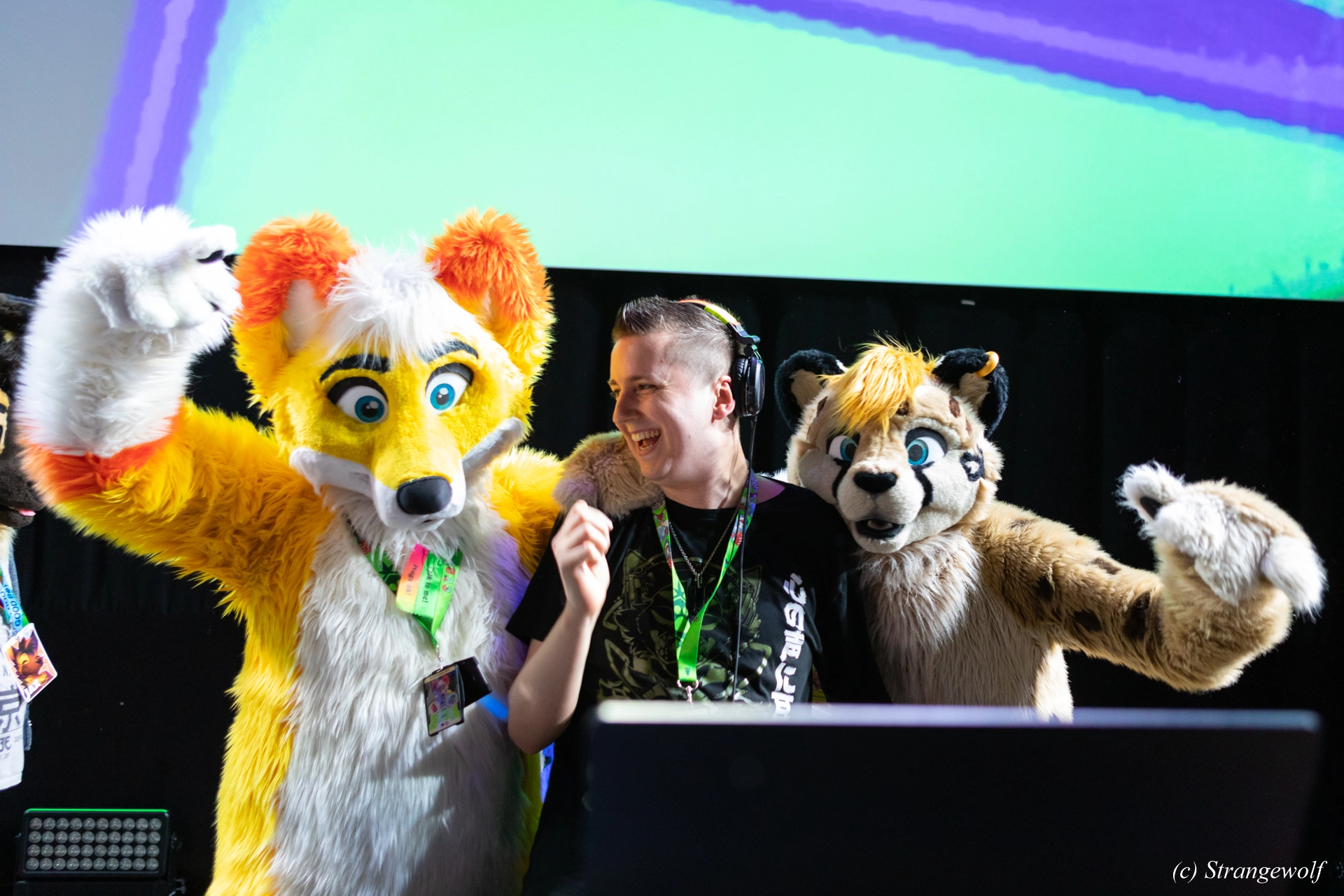 full image 1R3A9599-lr19t.jpg