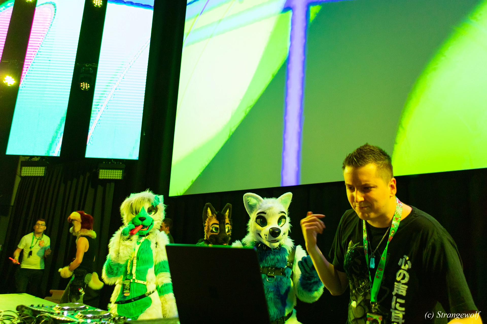 full image 1R3A9584-lr19t.jpg