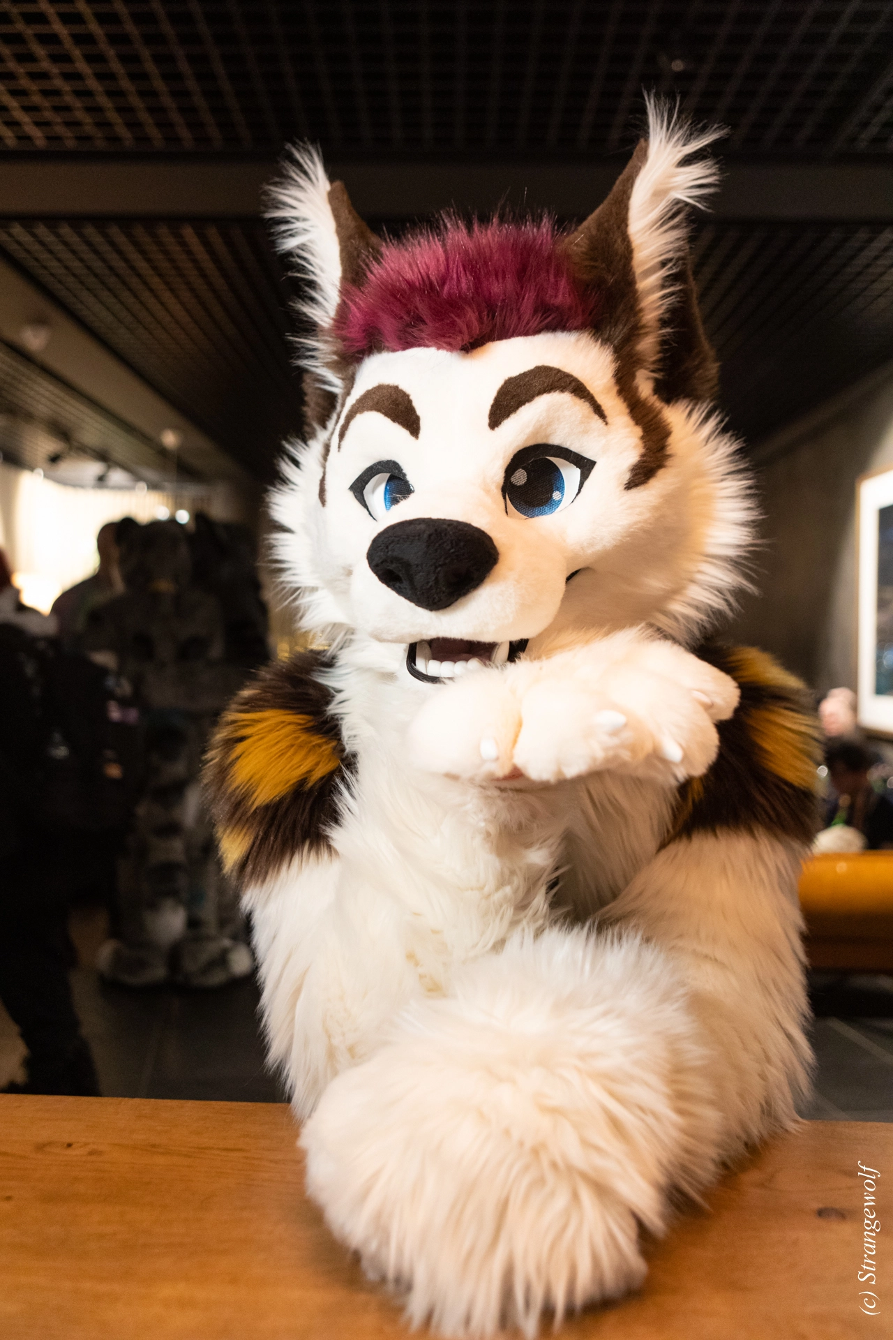 full image 1R3A9082-lr19t.jpg