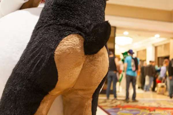 IMG_3742-lr19t.jpg of BLFC/2019/