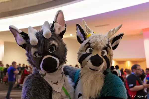 IMG_2082-lr19t.jpg of FWA/FWA2019/