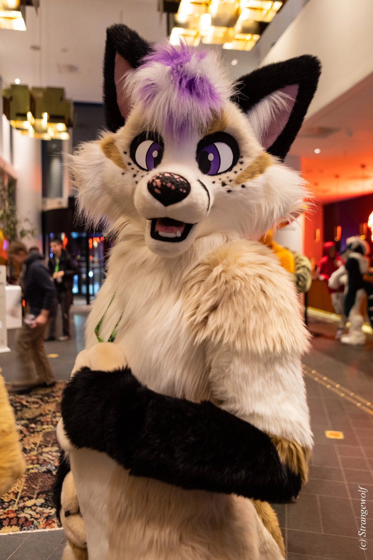 full image 1R3A9807-lr19t.jpg