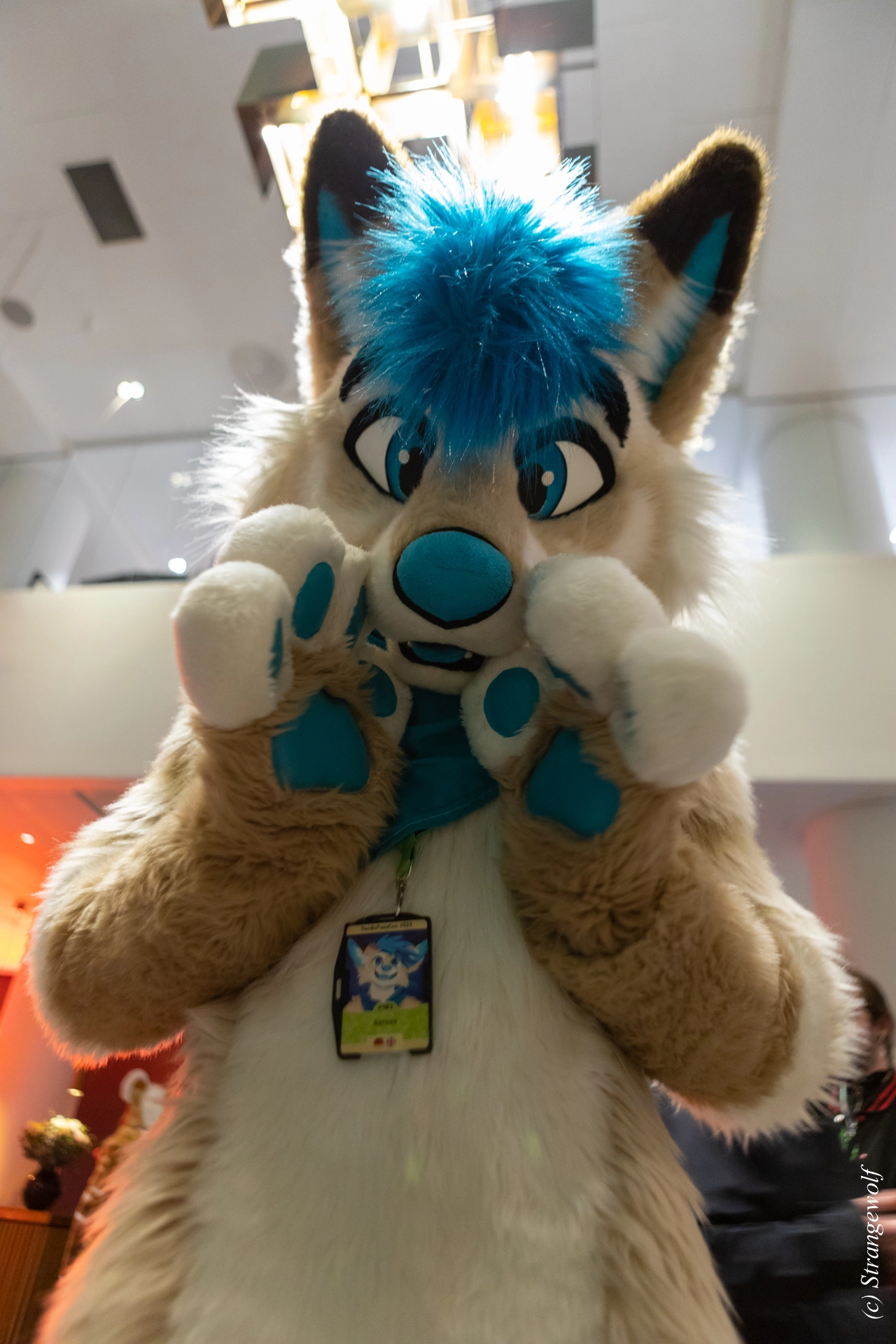 full image 1R3A0137-lr19t.jpg