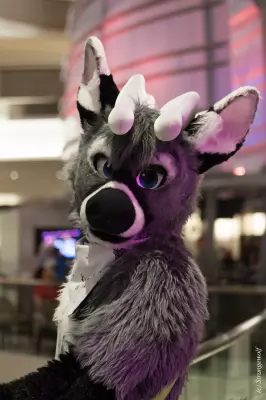 IMG_1628-lr19t.jpg of FWA/FWA2019/
