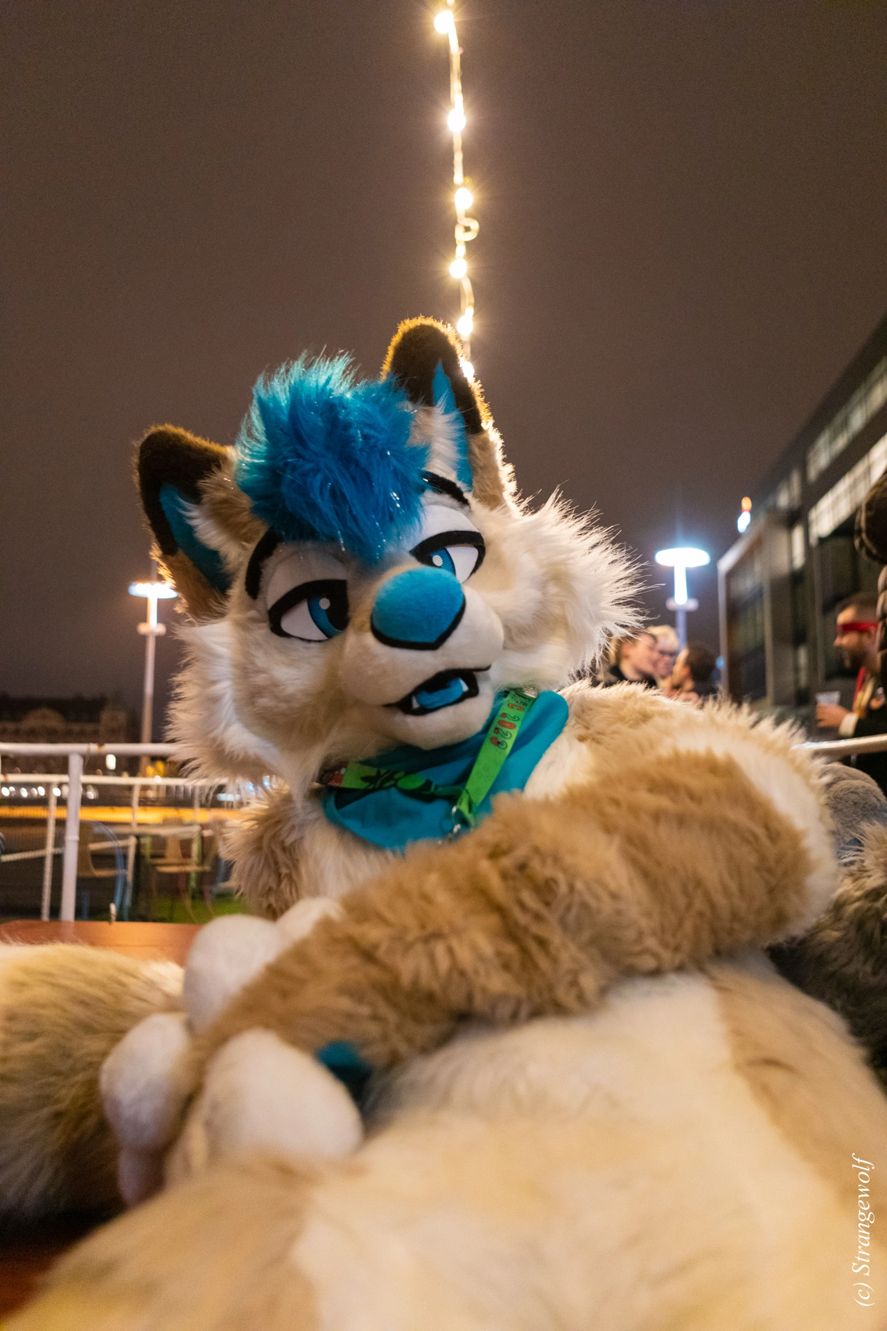 full image 1R3A9173-lr19t.jpg