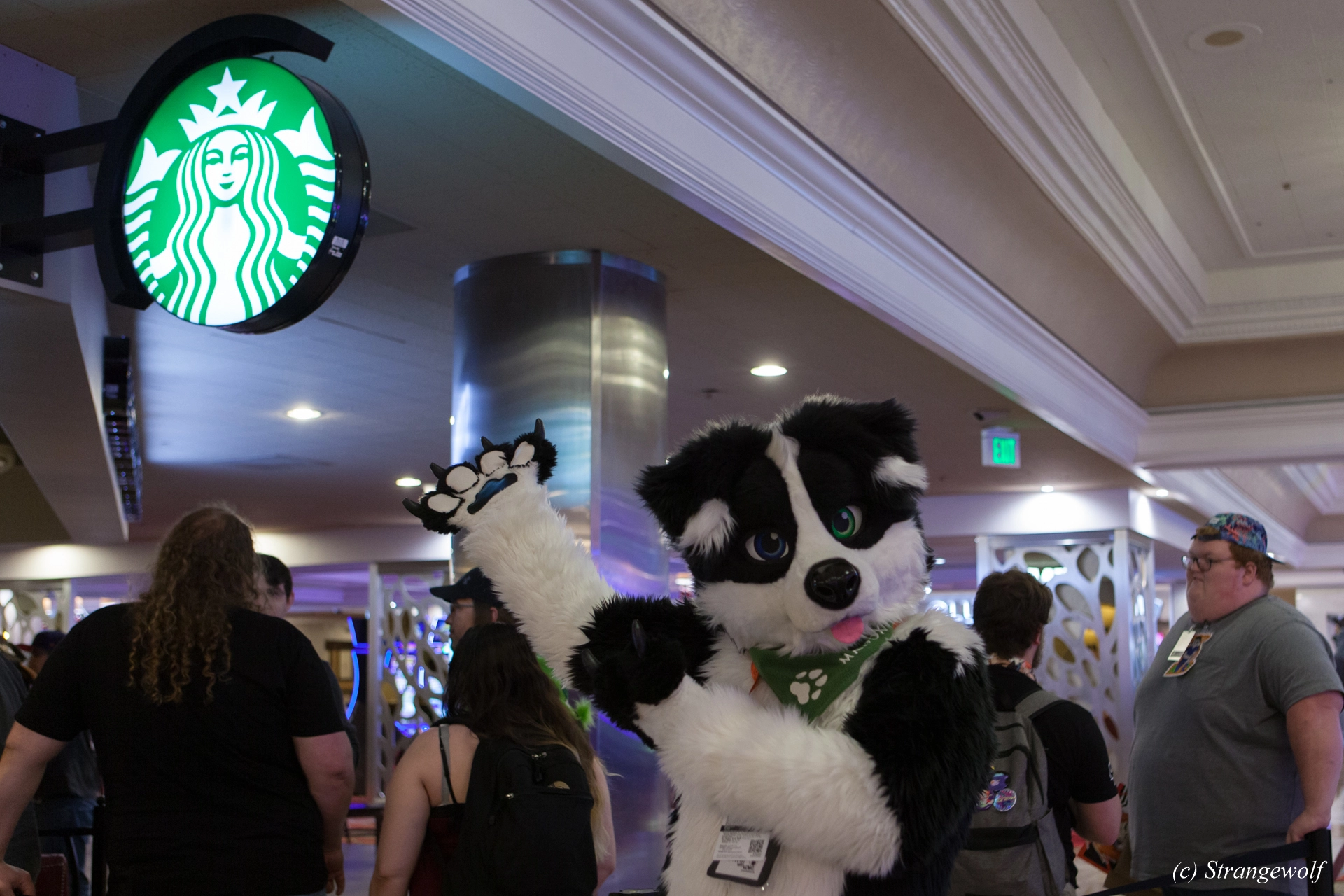 full image IMG_3756-lr19t.jpg