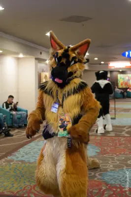 IMG_3766-lr19t.jpg of BLFC/2019/