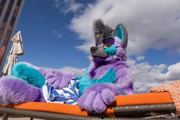 IMG_2964-lr19t.jpg of BLFC/2019/