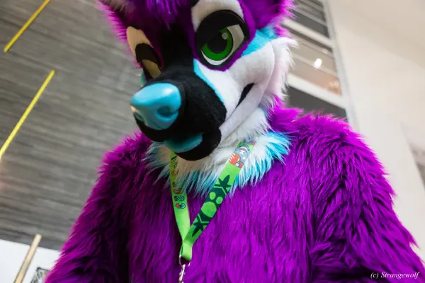 1R3A9420-lr19t.jpg of NFC/NFC2023/