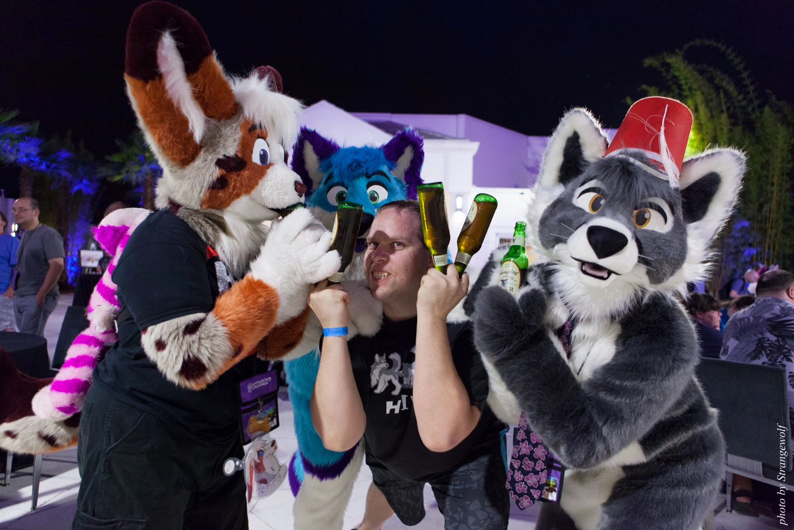 full image IMG_8584-lr16t.jpg