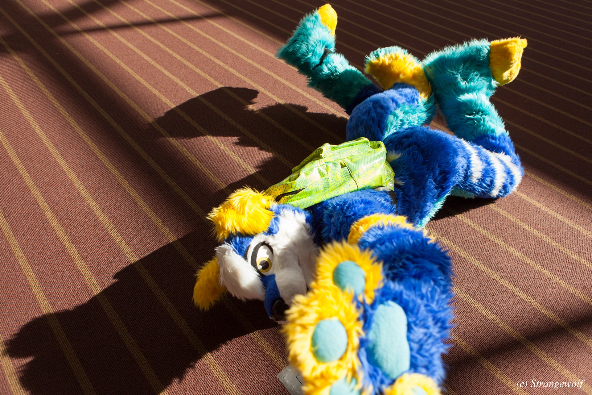 full image IMG_4388-lr19t.jpg