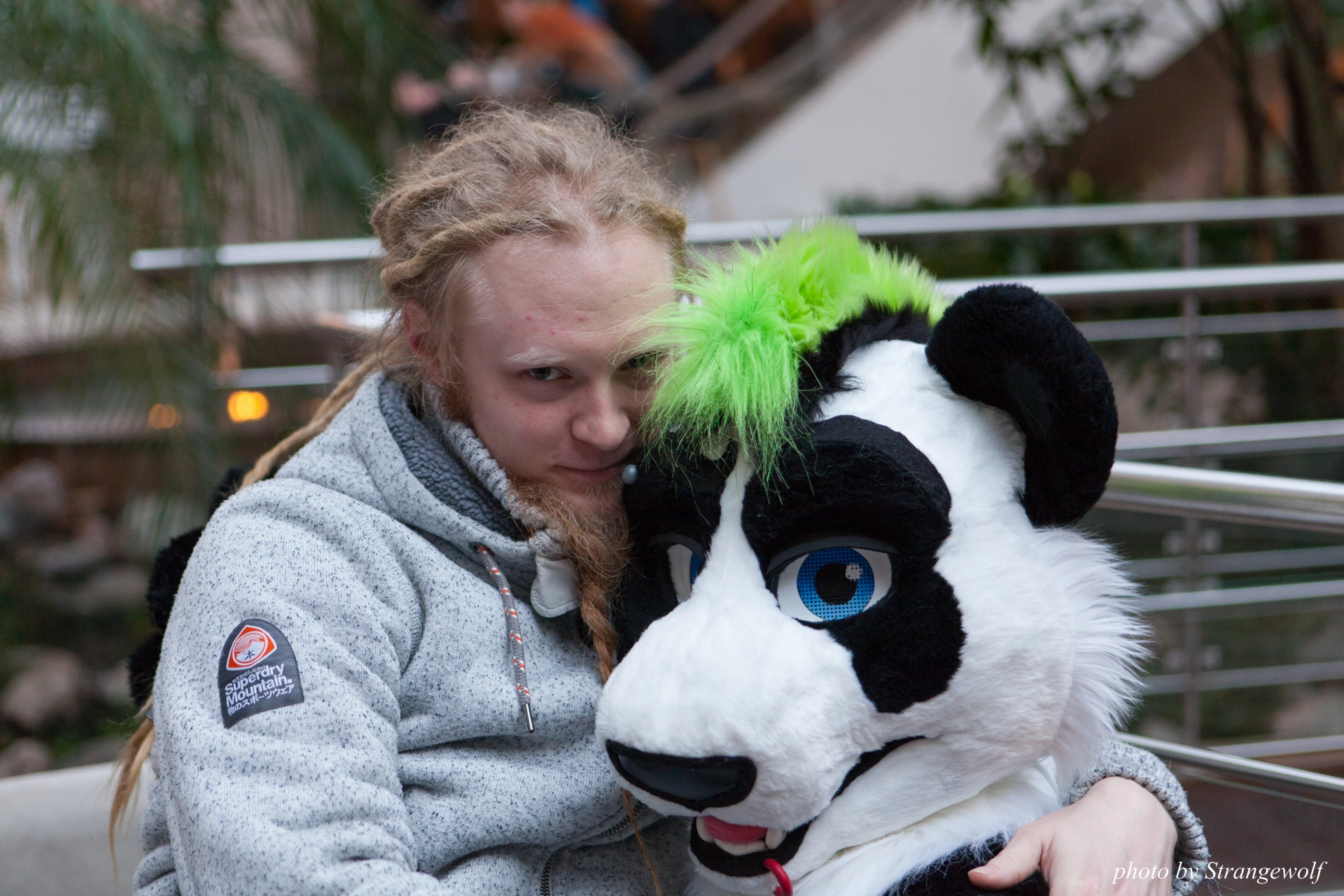 full image IMG_0804-lr19t.jpg