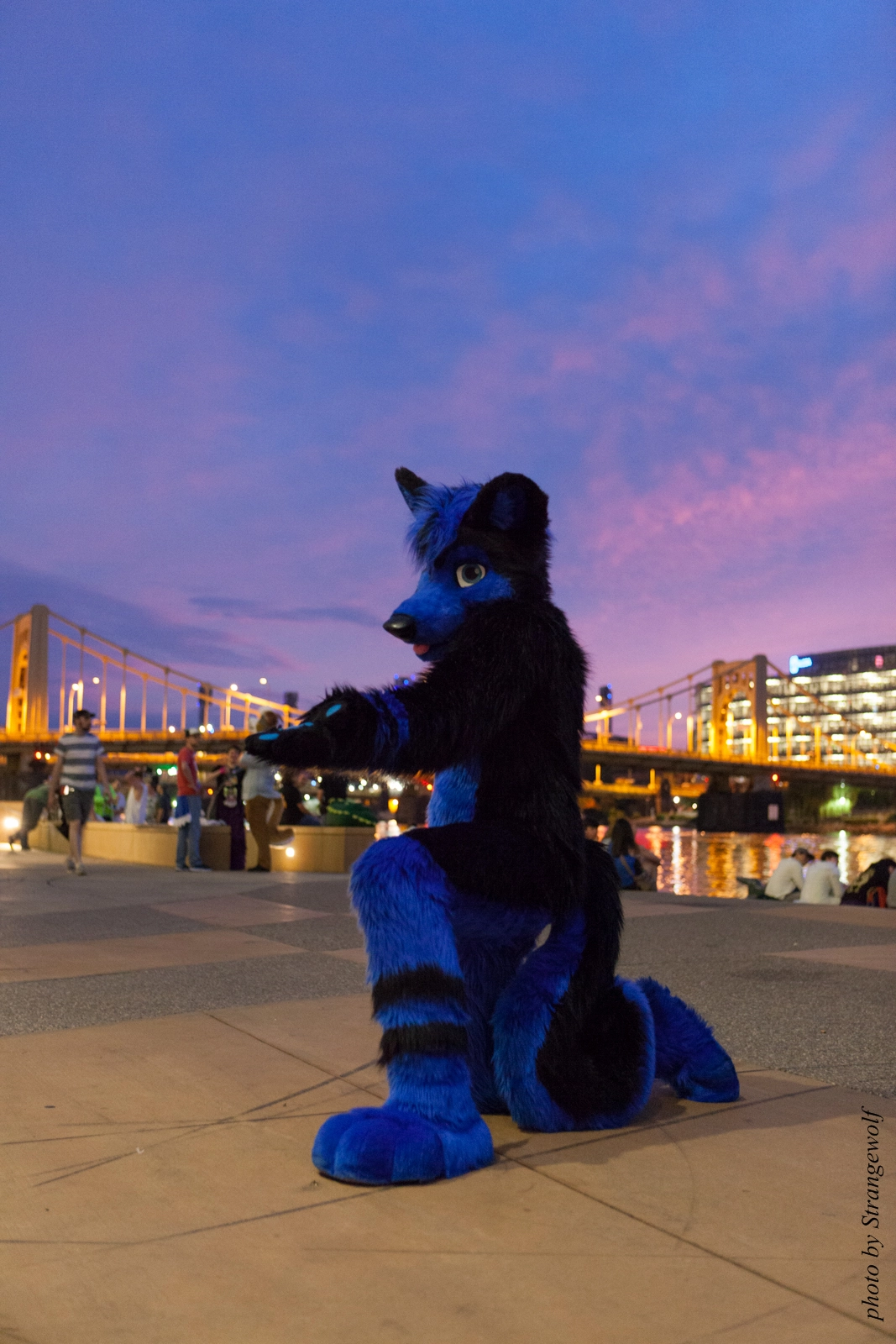 full image IMG_8415-lr16t.jpg