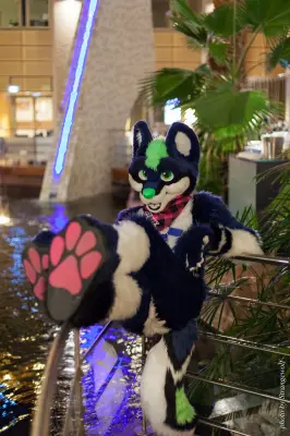 IMG_1878-lr16t.jpg of NFC/NFC2017/