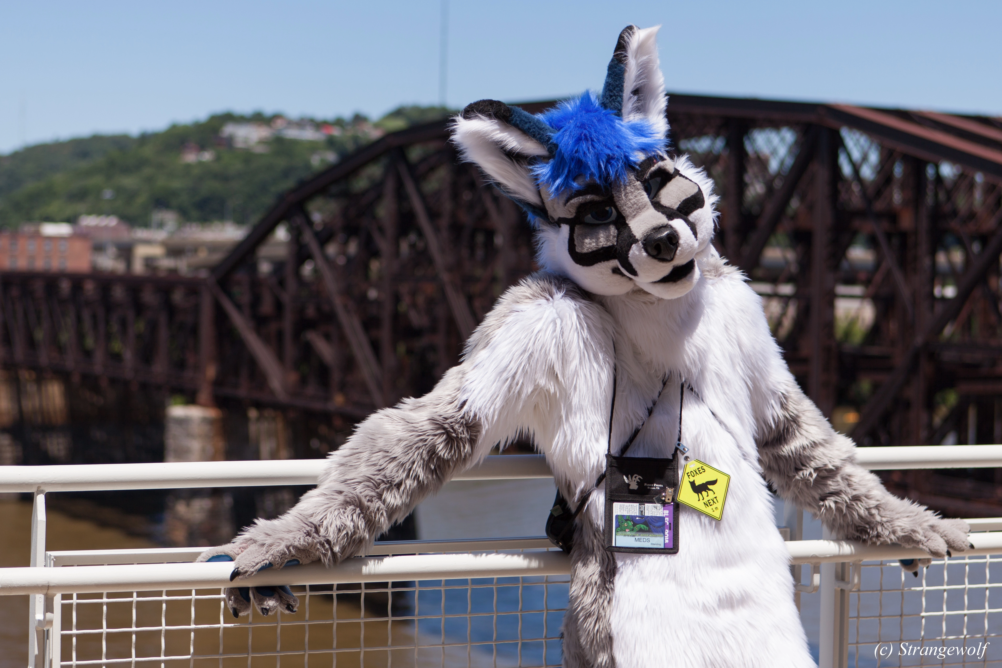 full image IMG_3807-lr.jpg