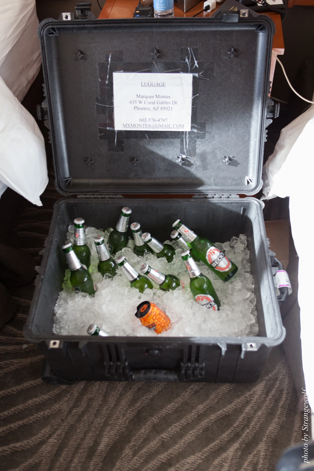 full image IMG_1266-lr16t.jpg