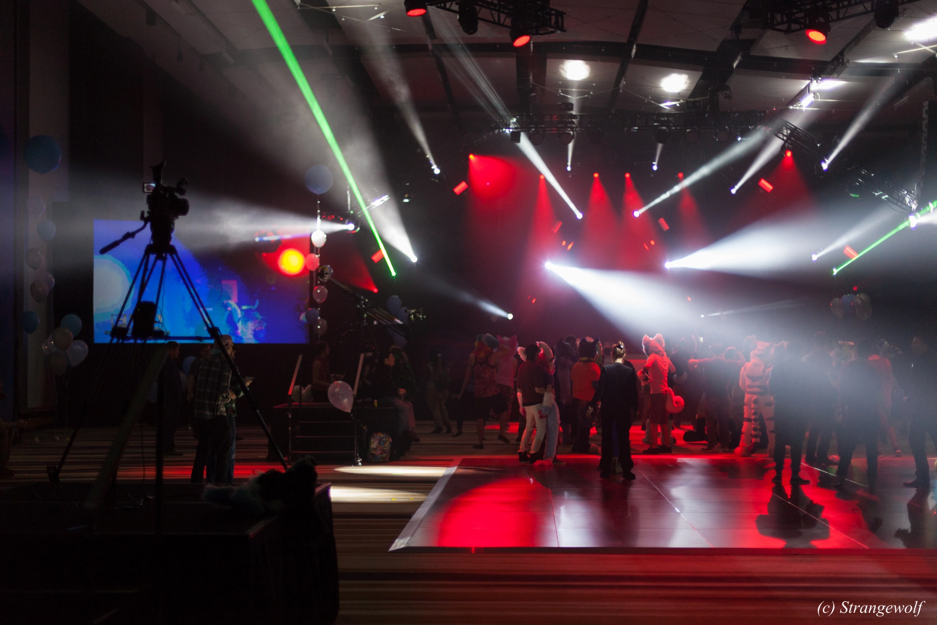 full image IMG_2041-lr19t.jpg