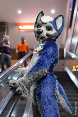 IMG_2631-lr19t.jpg of BLFC/2018/