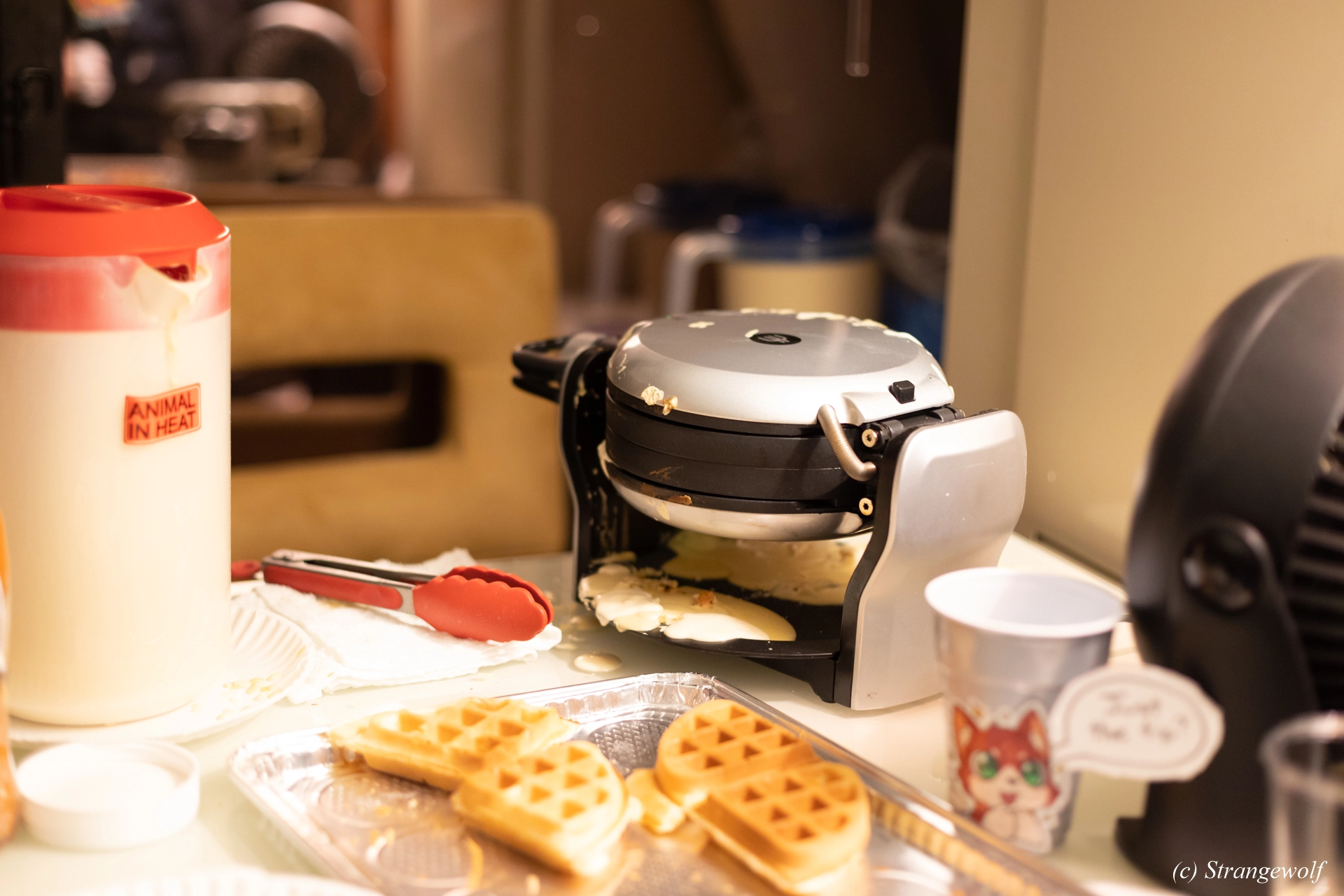 full image 1R3A6064-lr19t.jpg