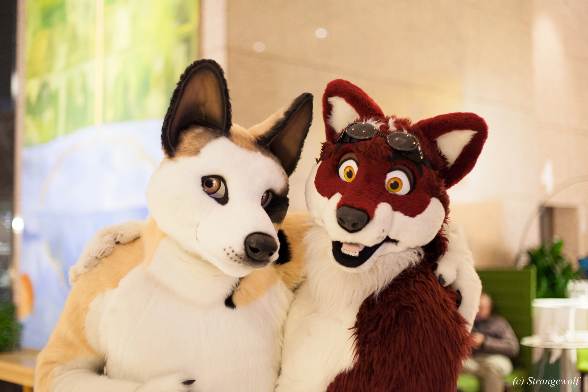 full image IMG_0853-lr19t.jpg