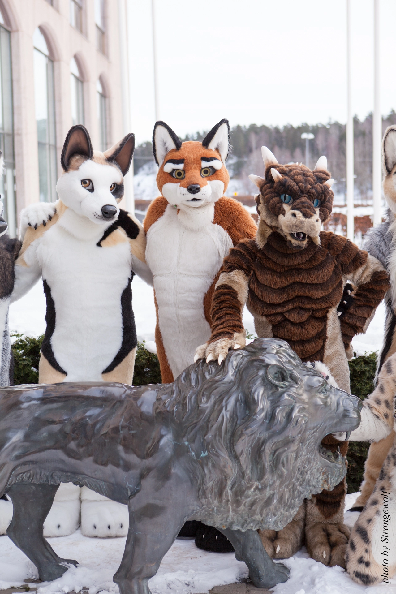 full image IMG_0299-lr19t.jpg