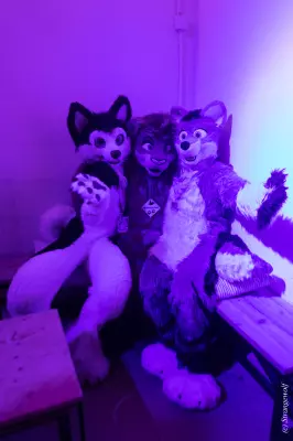 1R3A2715-lr19t.jpg of Furstrike/Furstrike 2022/