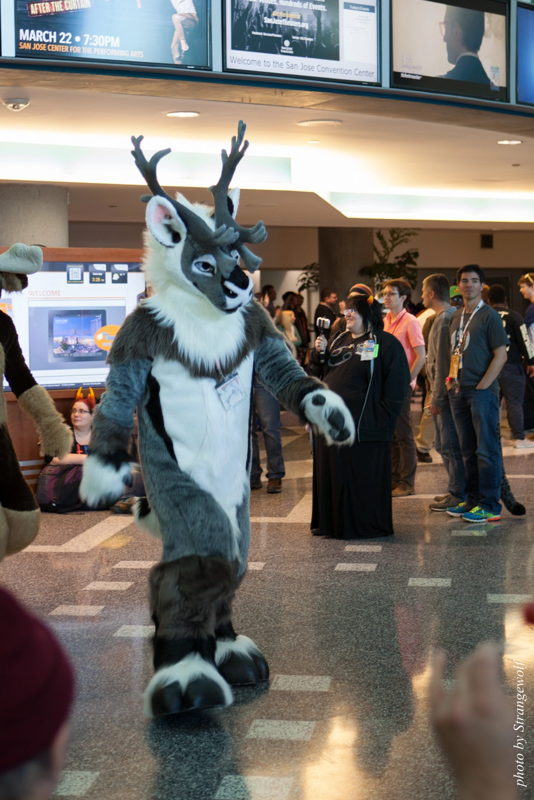 full image IMG_1039-lr16t.jpg