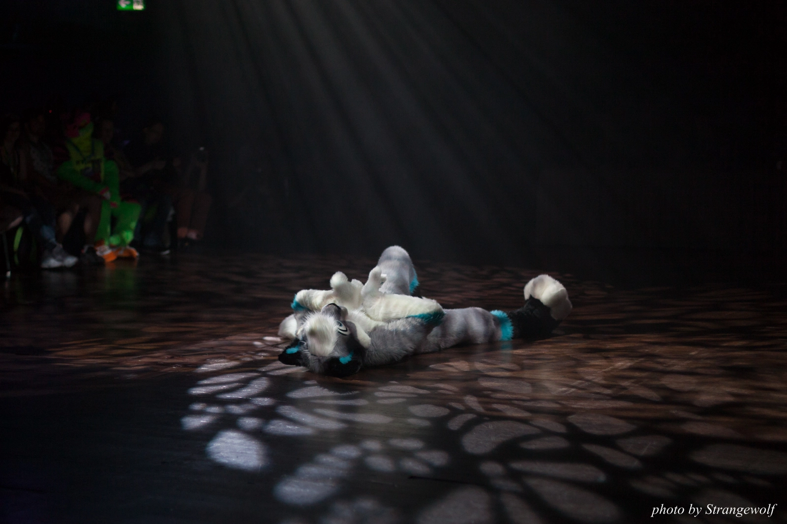 full image IMG_9102-lr16t.jpg