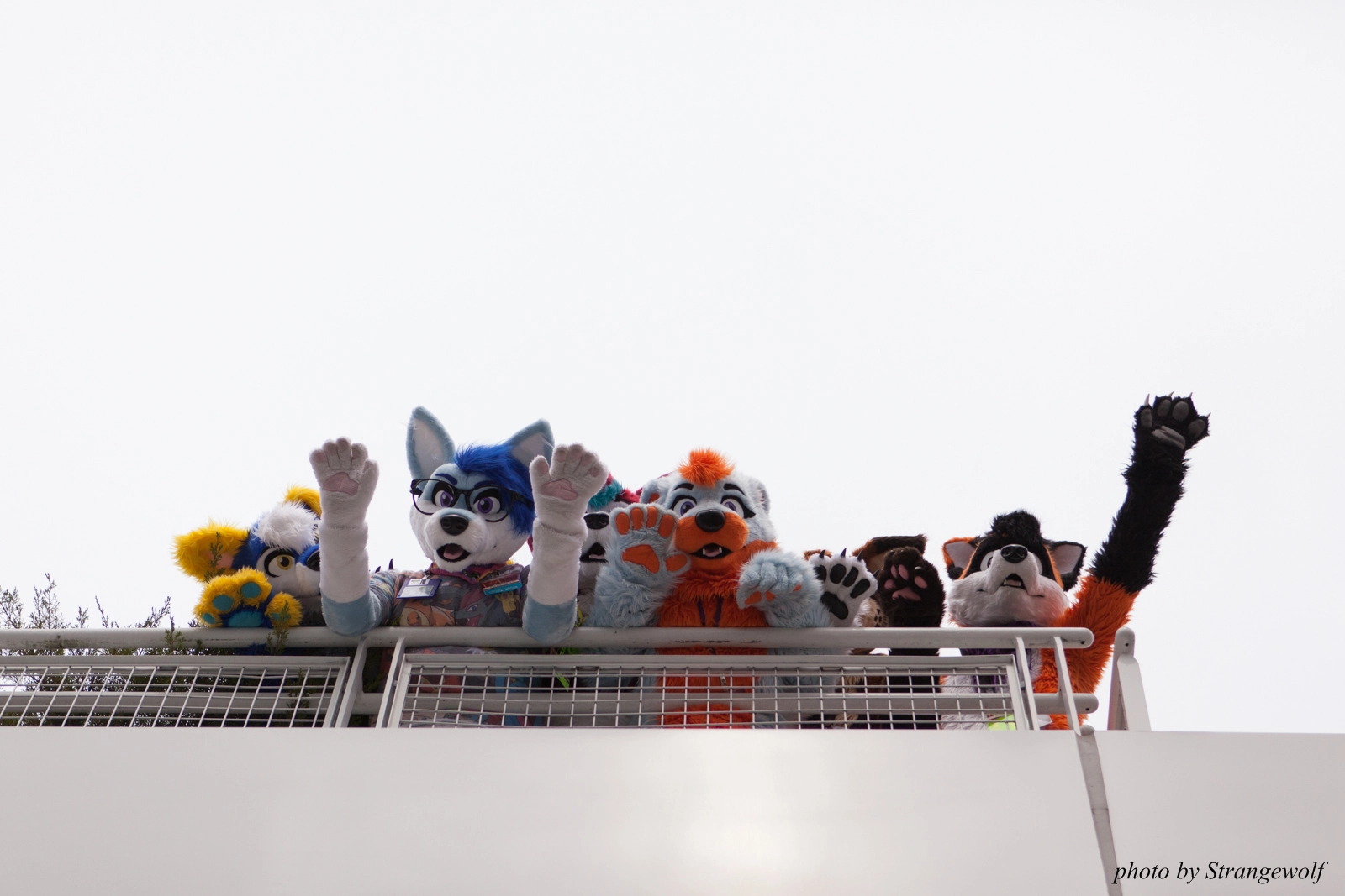full image IMG_8206-lr16t.jpg