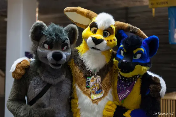 IMG_9174-lr19t.jpg of NFC/NFC2020/