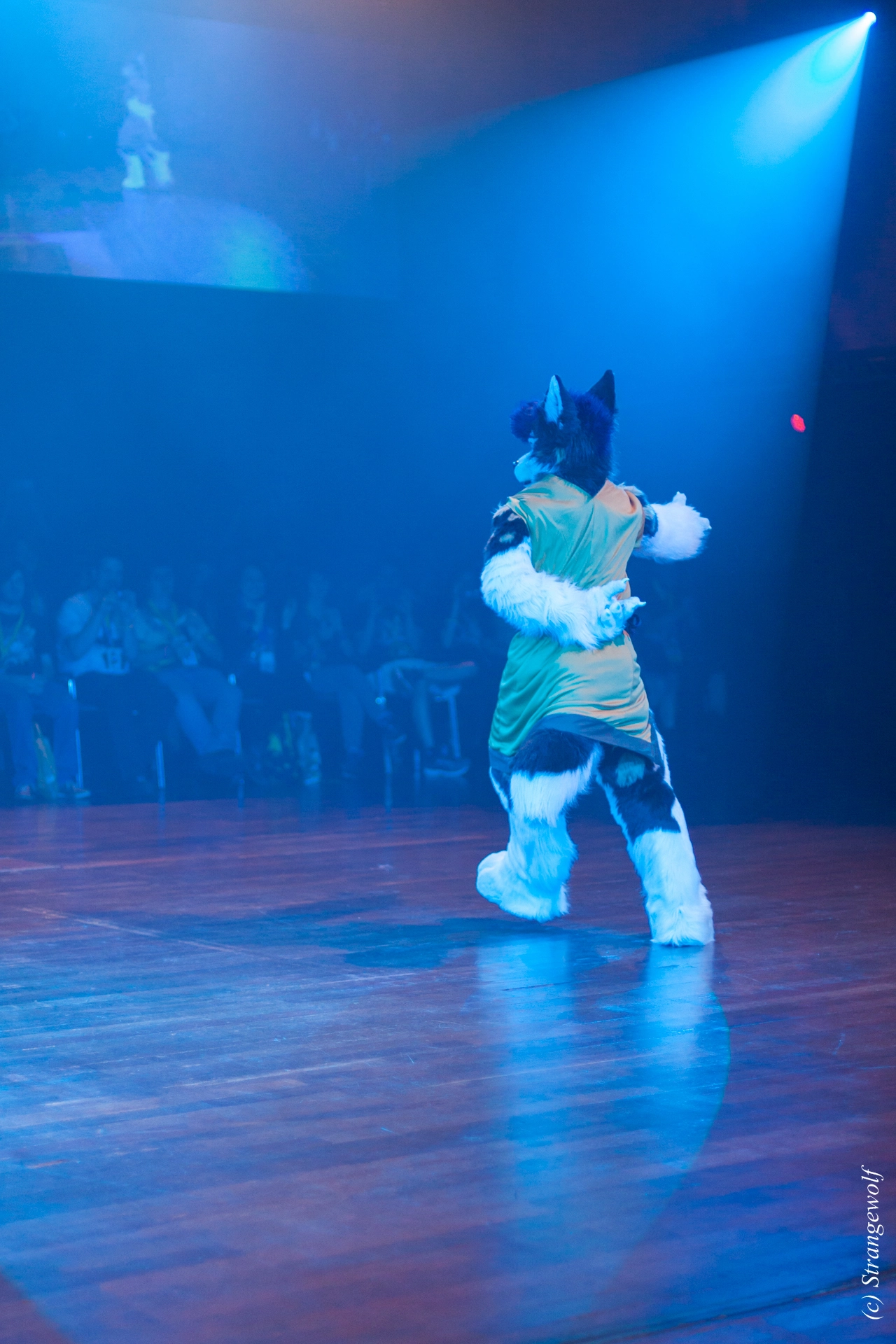 full image IMG_6441-lr19t.jpg