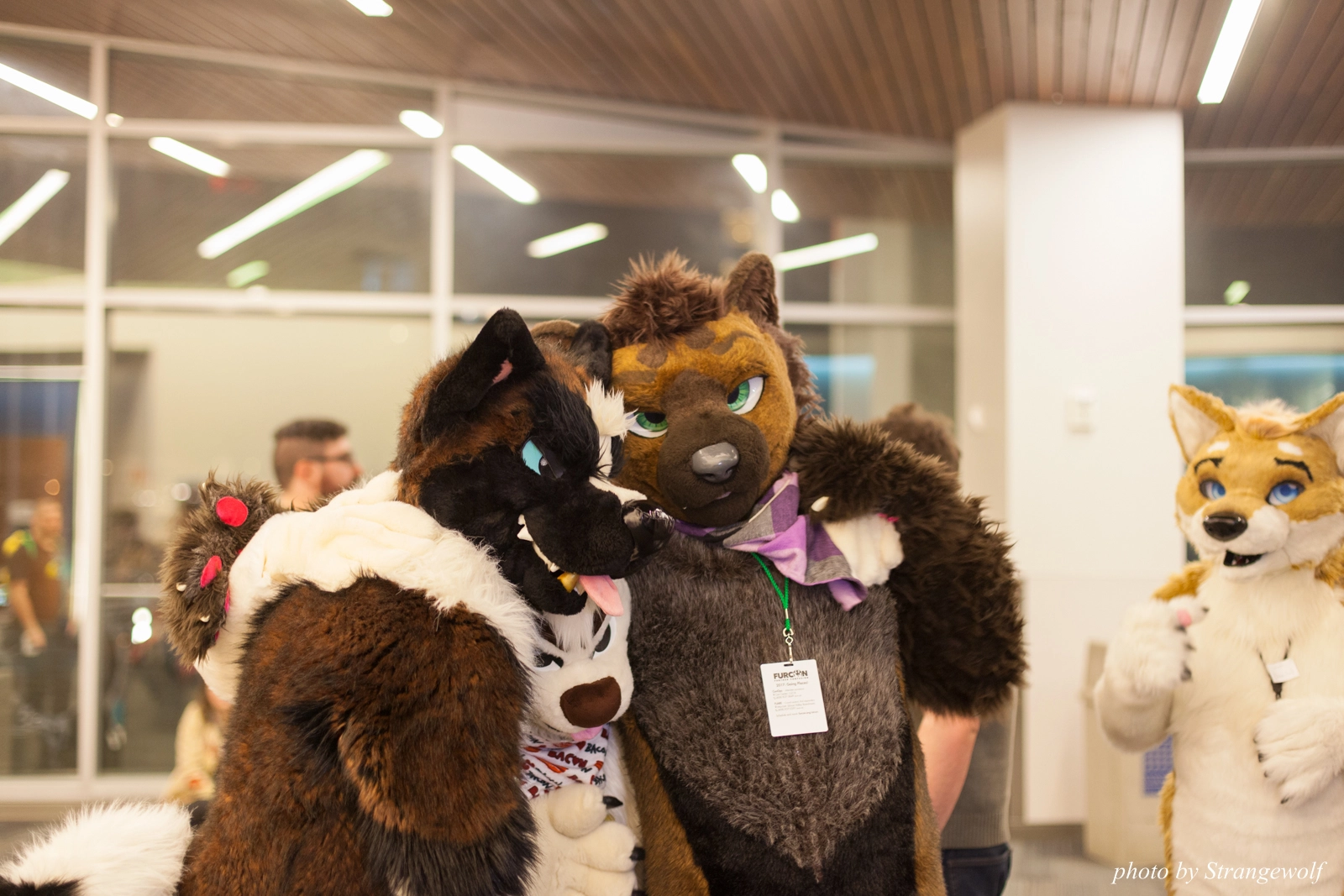 full image IMG_1205-lr16t.jpg