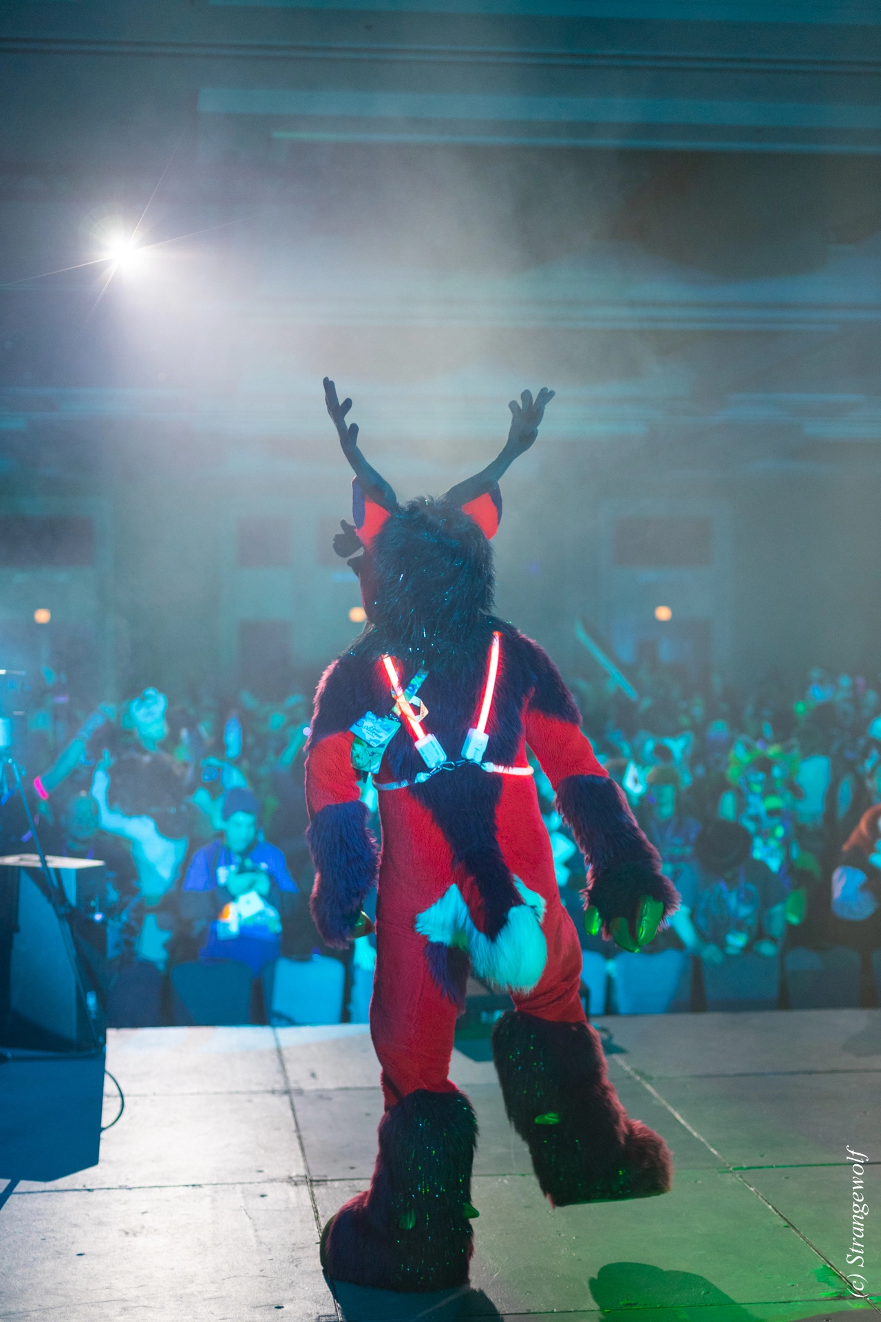 full image 1R3A0395-lr19t.jpg