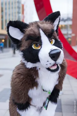 IMG_8590-lr19t.jpg of NFC/NFC2020/