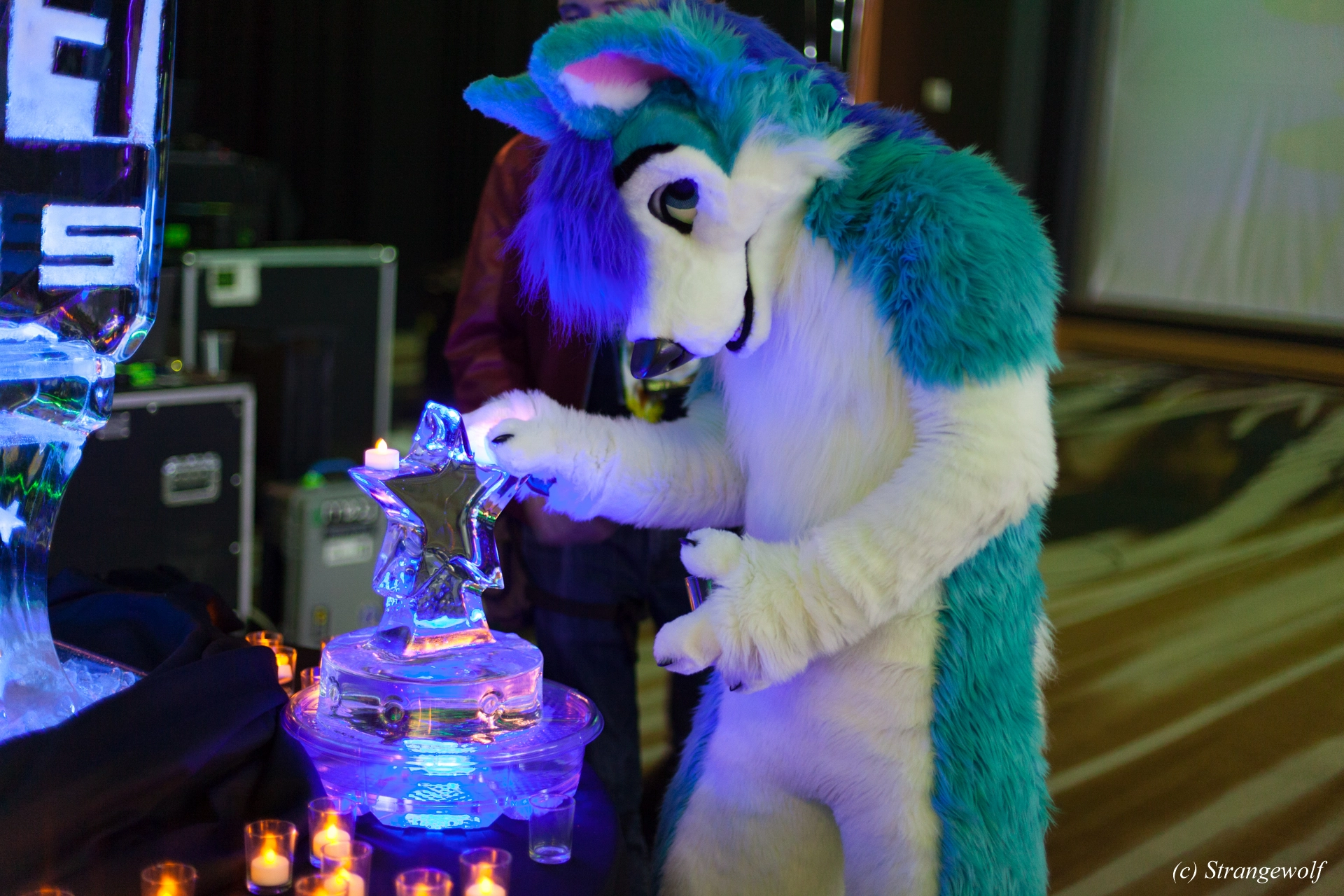 full image IMG_2089-lr19t.jpg