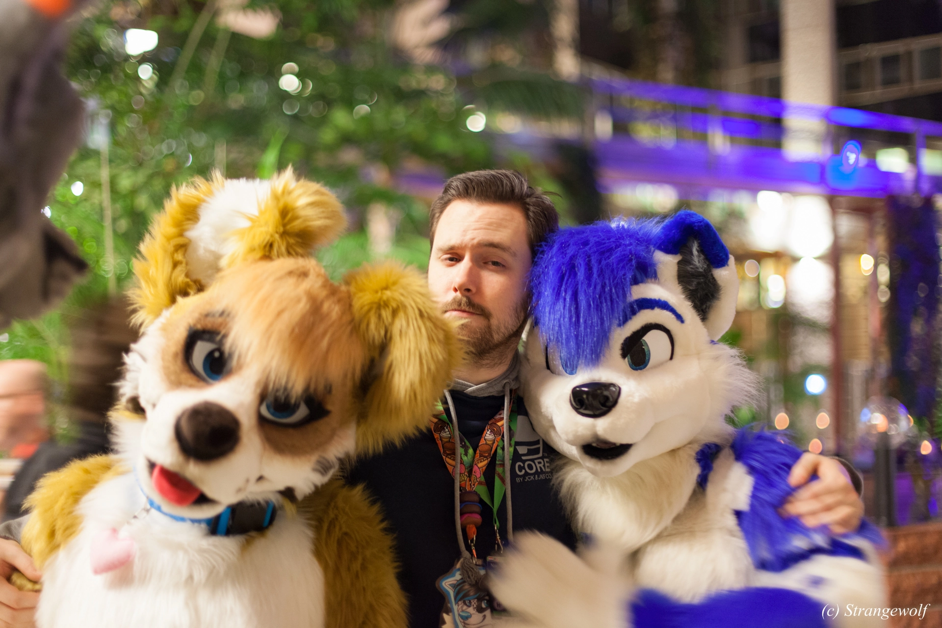 full image IMG_0904-lr19t.jpg