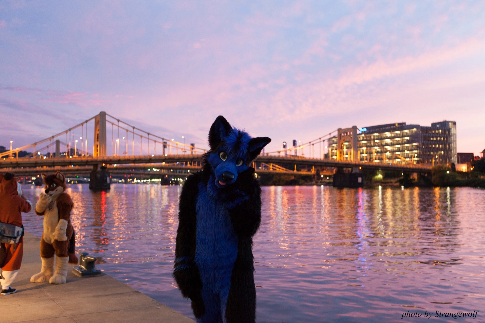 full image IMG_8381-lr16t.jpg