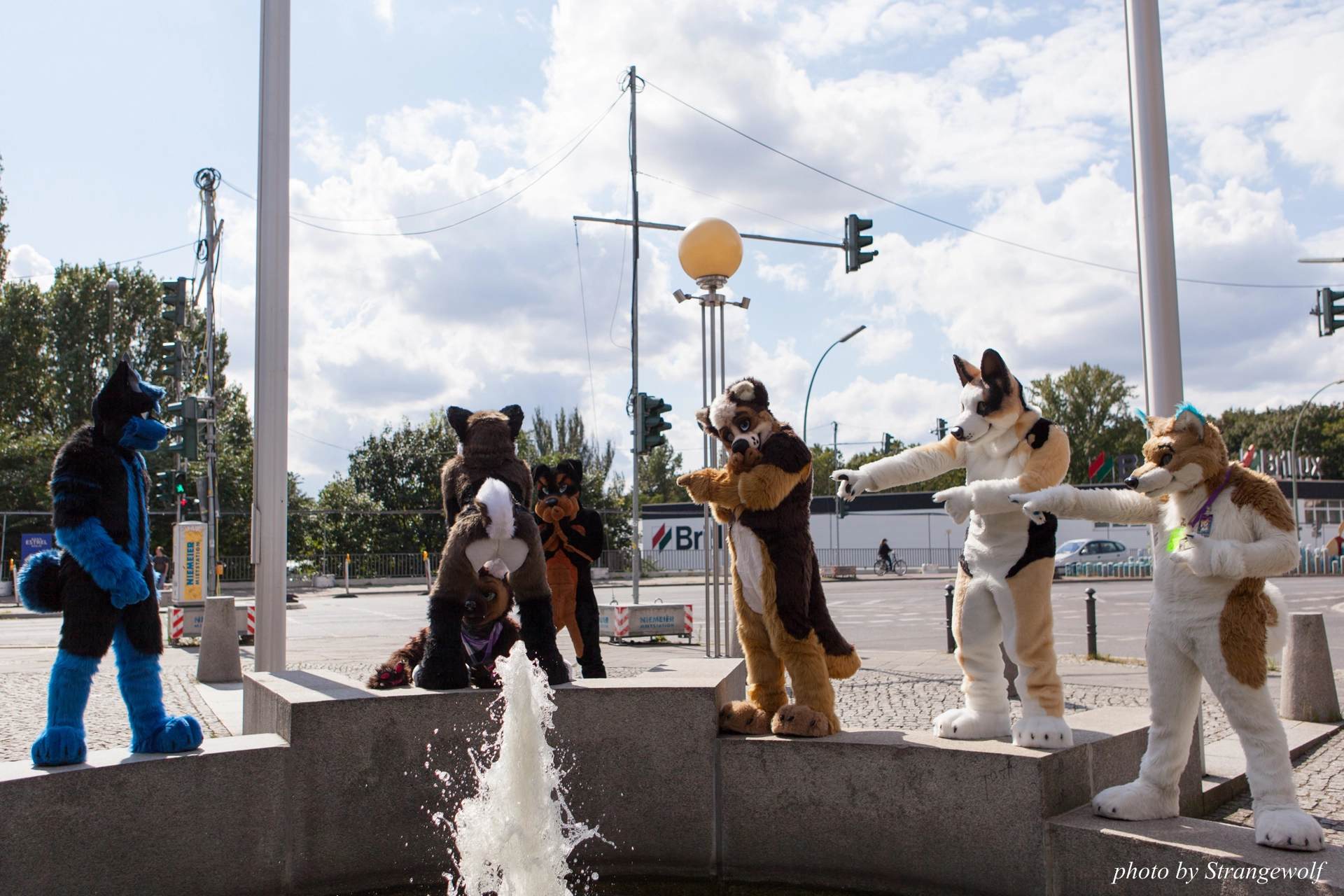 full image IMG_7226-lr19t.jpg