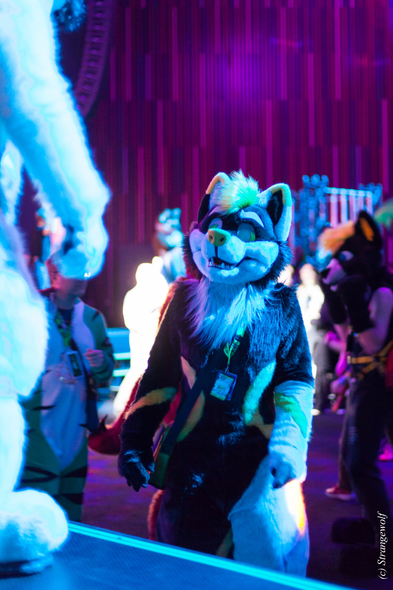 full image IMG_9207-lr19t.jpg