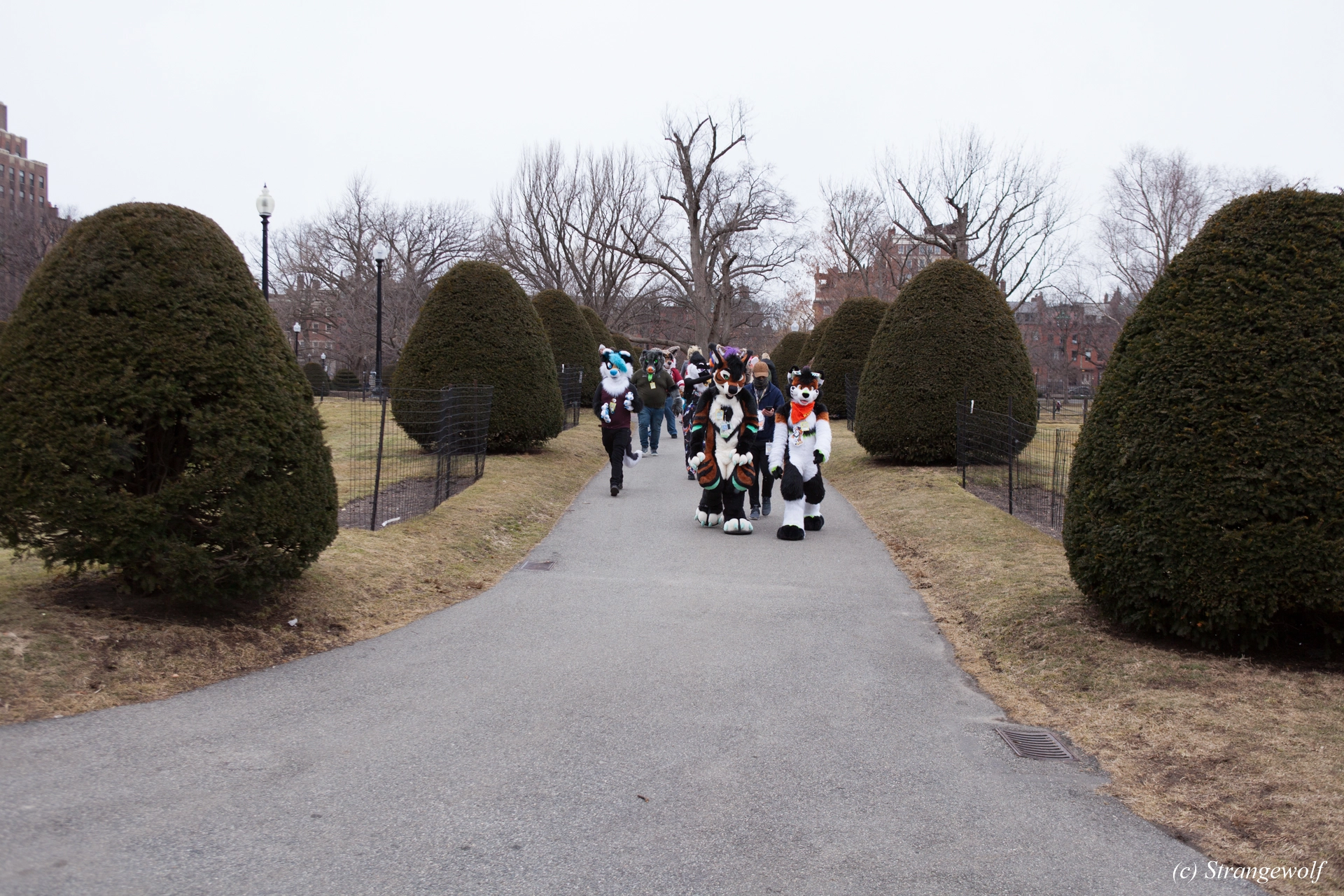 full image IMG_3202-lr19t.jpg